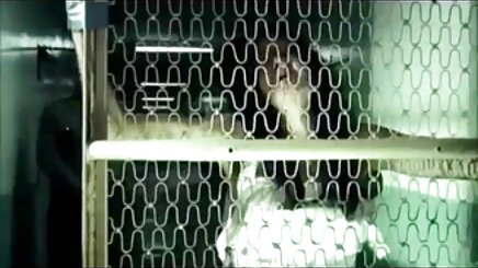 Sexy mô hình sex k che hd vũ công ballet