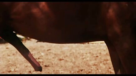 Nhung Giữa câu Lạc sex hàn k che bộ latin 10 kẻ Từ câu lạc bộ